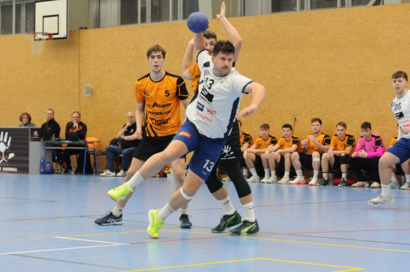 1. liga mužů: Liberec Handball - Tatran Litovel 29:30 (13:11)